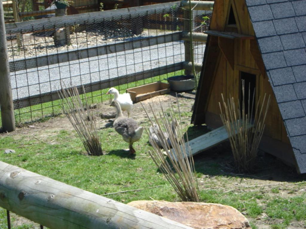Camping Saint Michel Courtils Buitenkant foto